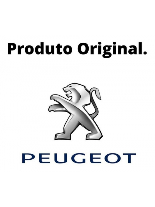 Acabamento Painel Peugeot Boxer Ducato 2019 2020 1306508070