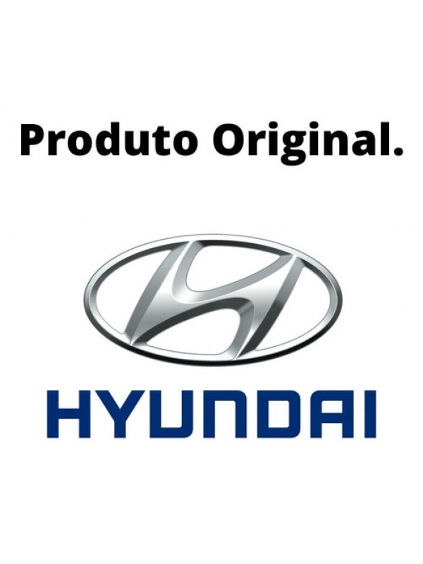 Hélice Com Polia Viscosa Hyundai Hr 2.5 16v 2016 2018