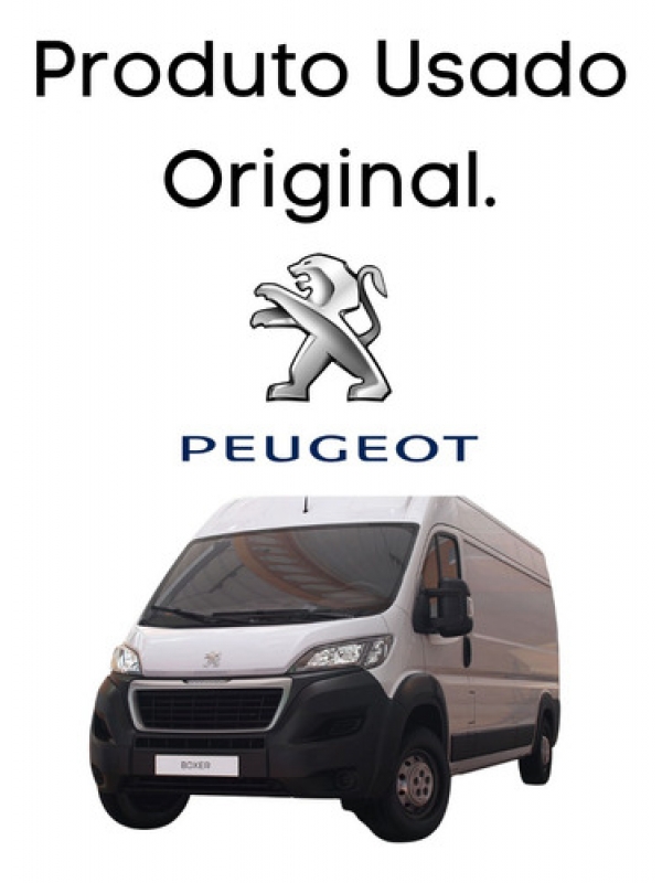 Churrasqueira Para-brisa  Peugeot Boxer Jumper 2018 2019 020